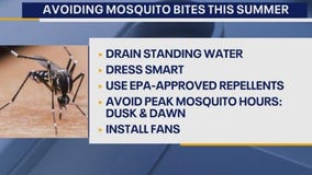 Tips for mosquito-proofing your fun this summer