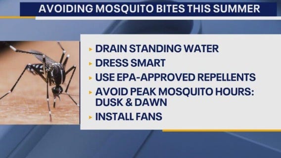 Tips for mosquito-proofing your fun this summer