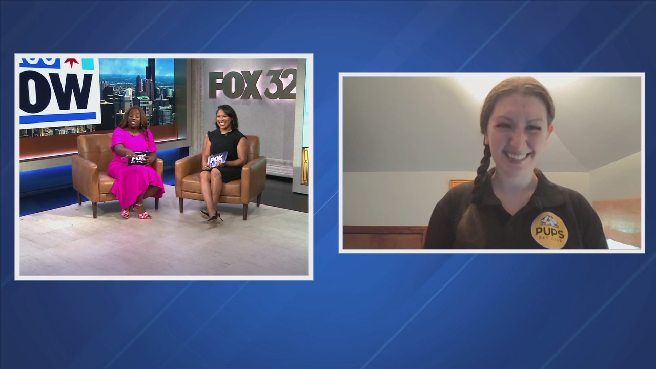 Dog dining etiquette 101: Chicago business teaching 'petiquette' | ChicagoNOW