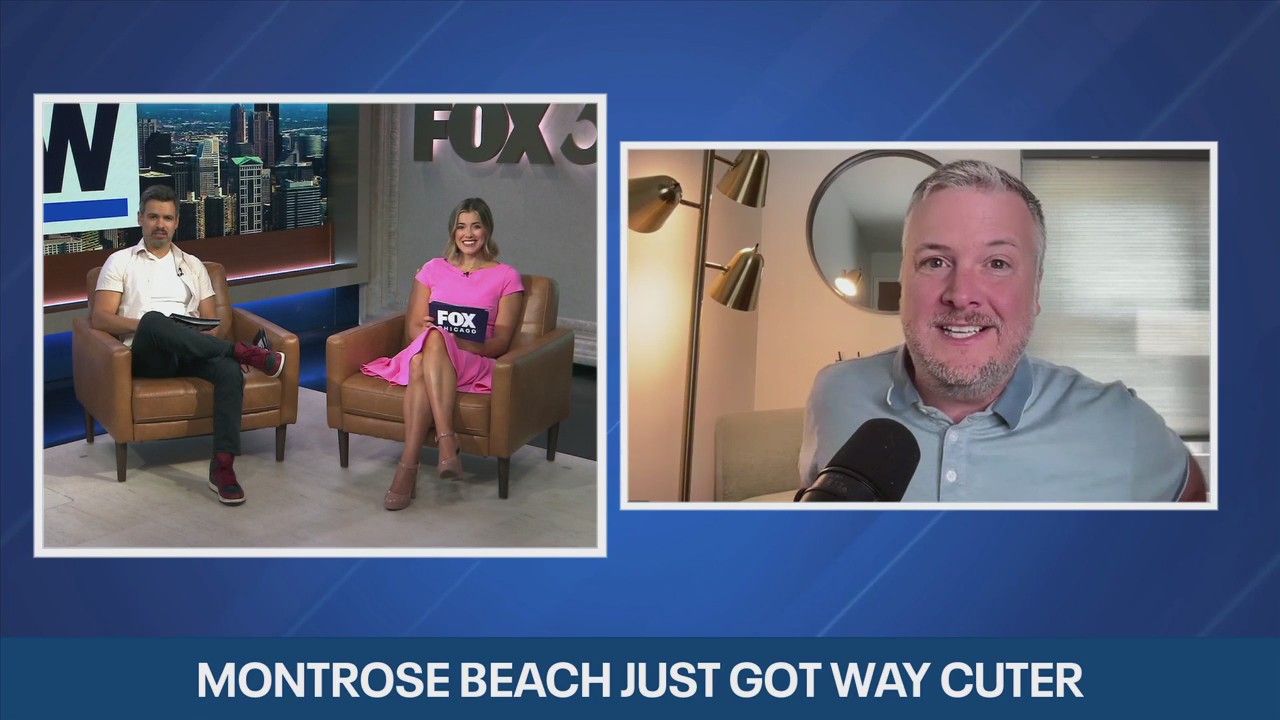 Montrose Beach's piping plover family grows ? and so does the fanbase | ChicagoNOW