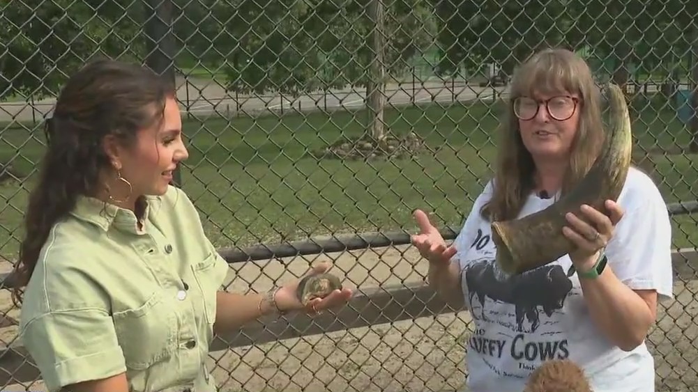 Free fun at Elgin Zoo: New kid-friendly experiences you don?t want to miss