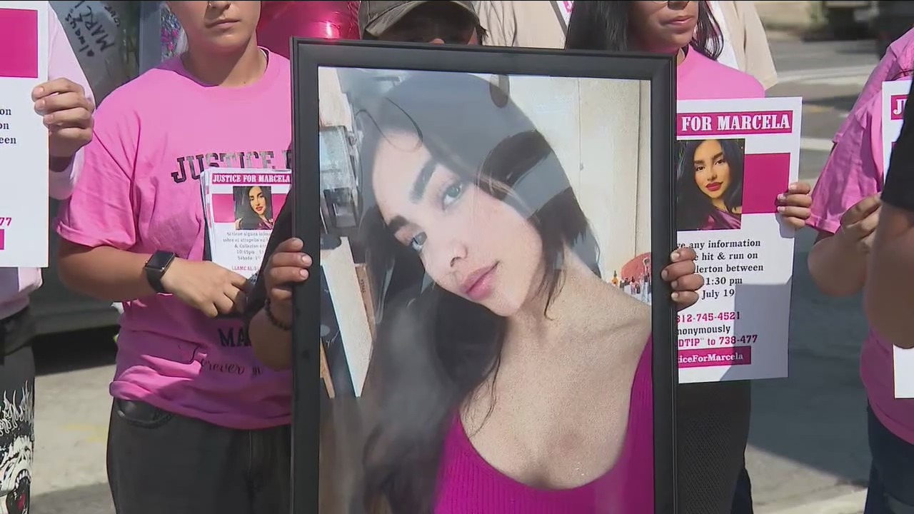 Family of woman killed in Pilsen hit-and-run speaks out: 'Completely preventable'