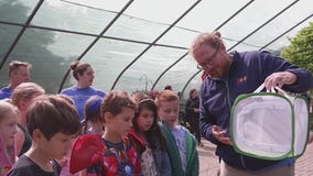 Check out Brookfield Zoo's butterfly habitat