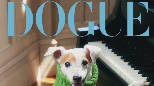 How your dog can be the next 'Dogue' cover star | ChicagoNOW