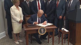 Jobs report shocks Wall Street, markets sink as tariffs and unemployment spike