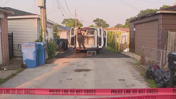 Person of interest in custody after 26 dogs rescued from Chicago home, officials say