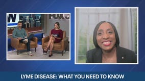 Lyme disease: What it is and why early diagnosis matters | ChicagoNOW