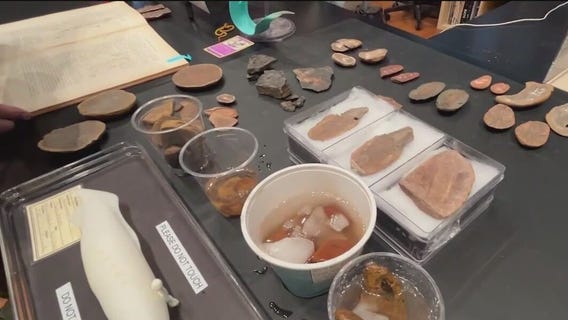 300 million-year-old fossils found in Illinois on display at Field Museum