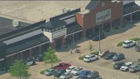 Man charged with gun crimes after police swarm Mariano's