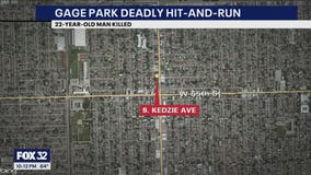 Gage Park deadly hit-and-run