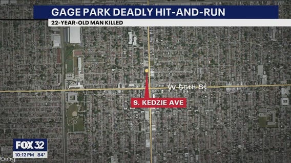 Gage Park deadly hit-and-run