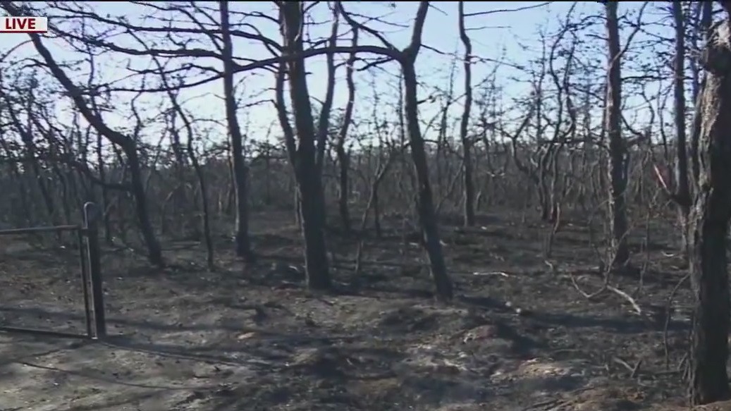 Long Island brush fires sparked by s'mores bonfire