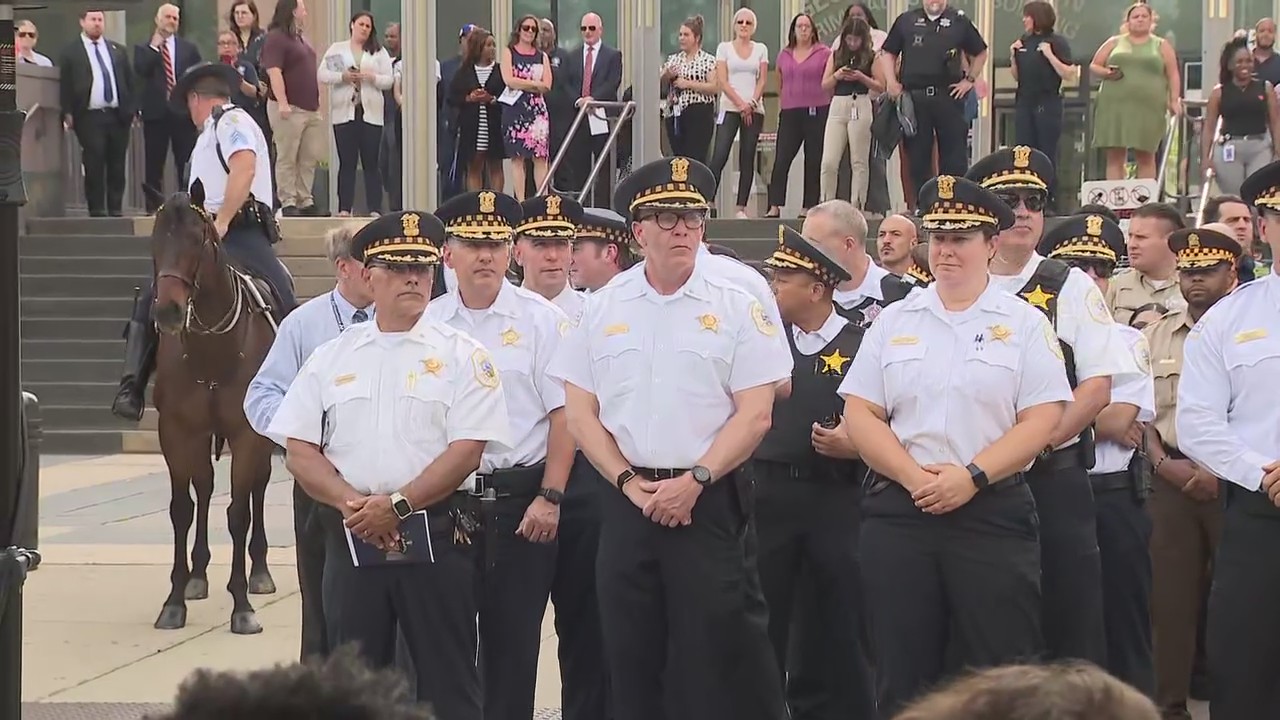 Chicago honors fallen officer Ella French with street renaming