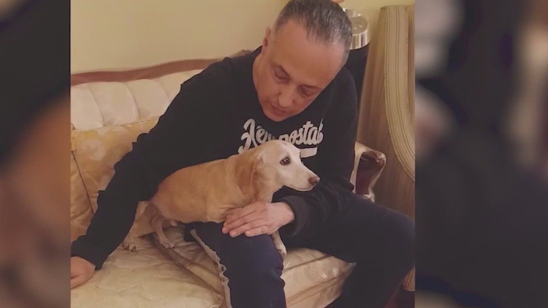 New details released after Chicago blind man's dog returned after being stolen