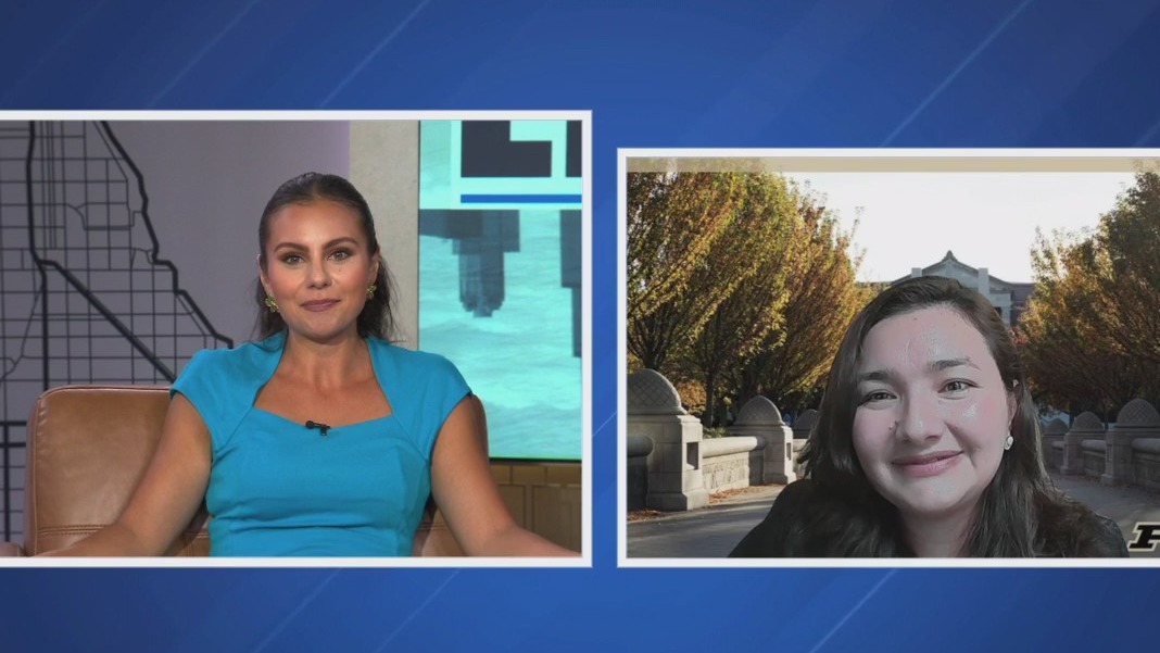 FDA warns about possible radioactive shrimp | What to know