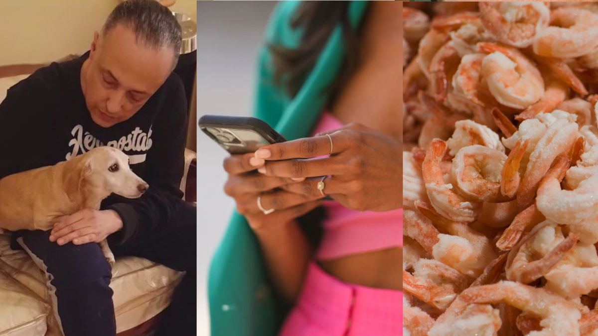 Stolen dog found, phone snooping & radioactive shrimp | ChicagoNOW 11 a.m.