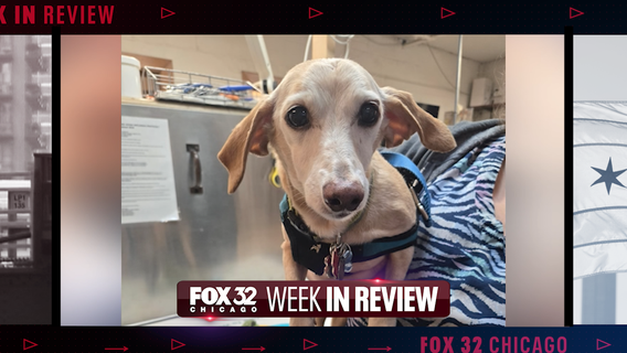 Week in Review: Blind man reunited with dog, House music celebration & classic cars