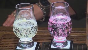 Tasting Chicago: Exotic eats & elixirs