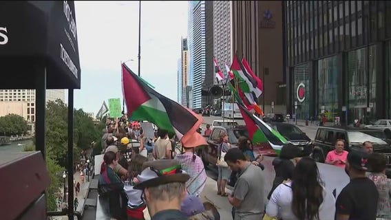 Pro-Palestine group marches through downtown