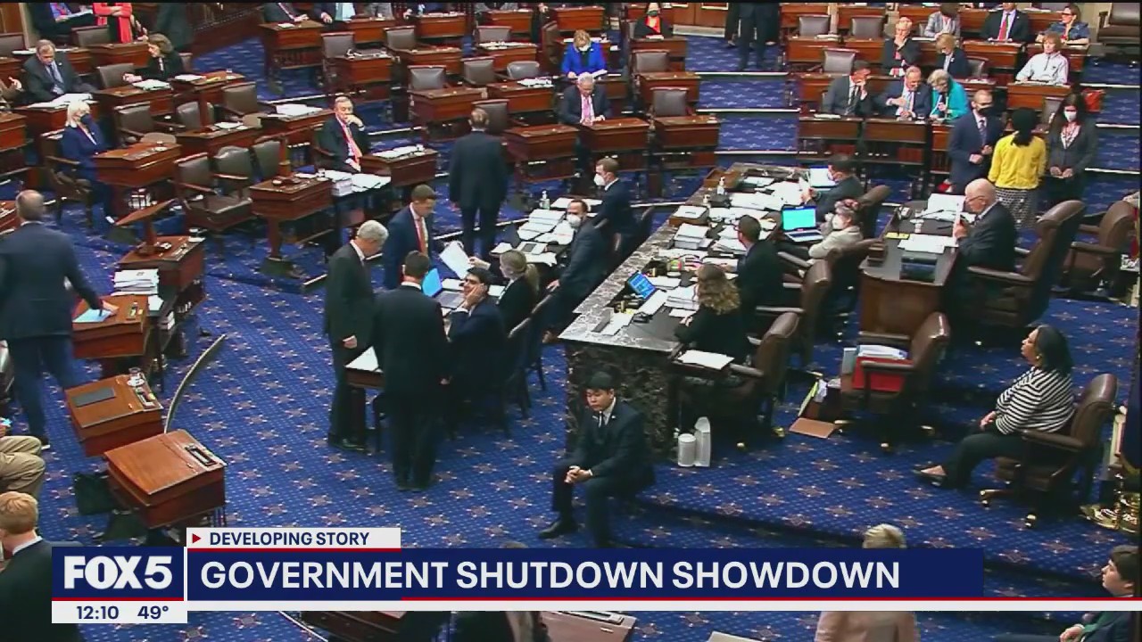 Trump: 'If there's a shutdown it's only because of the Democrats"