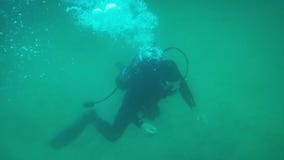 Lost your ring in Lake Michigan? Block Club Chicago meets the diver who finds it | ChicagoNOW