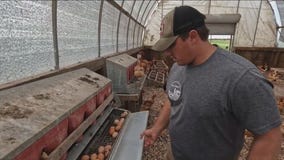 Chicago-area farm delivering free fresh food to veterans in need