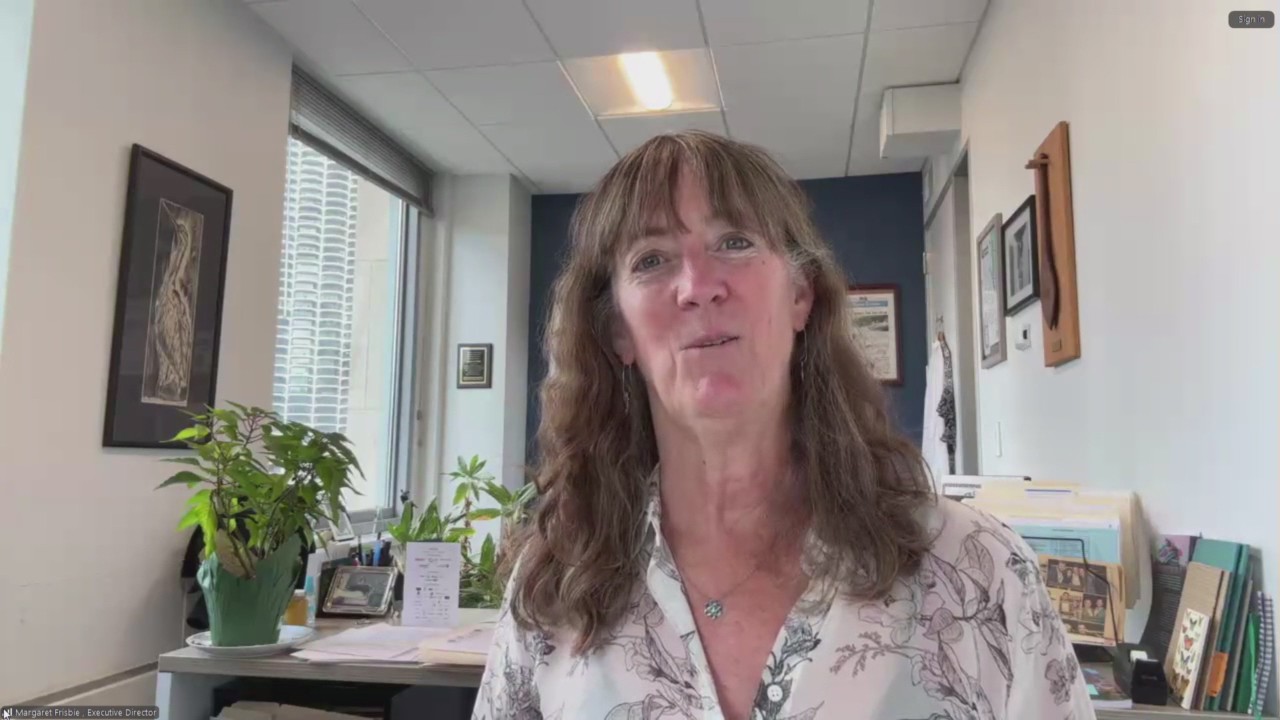 Nearly 100 cars found in Chicago RIver | Friends of the Chicago RIver weighs in