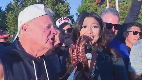 Bears Game Day Live: Tina meets the tailgate octopi named 'Lou' and 'Canellis'