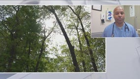 Sniffling already? Here's what to know ahead of fall allergy season