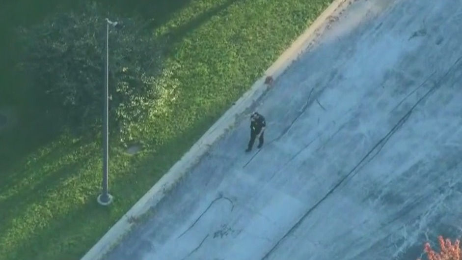 Police search for possibly armed subjects after south suburban crash