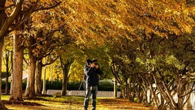 Expert explains how warm, dry weather could impact Chicago?s fall colors
