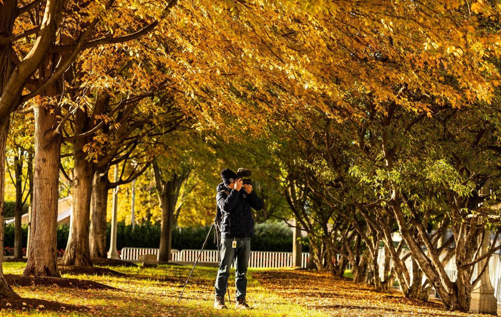 Expert explains how warm, dry weather could impact Chicago?s fall colors