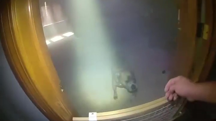 WATCH: Aurora police officers rescue dog from burning home