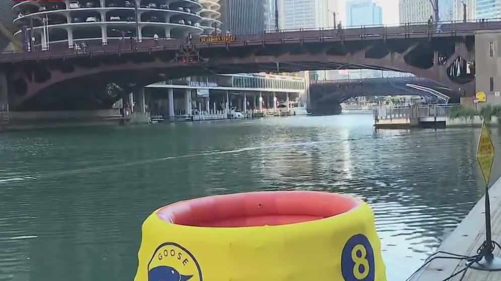 Chicago River hosting first official swim in nearly 100 years this weekend
