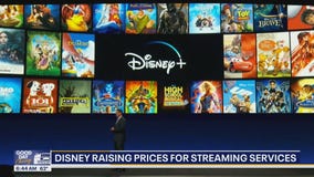 Portillo's CEO exit, Disney price hike, YouTube policy shift | Business News