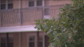 Search for missing 13-year-old New York girl leads to Chicago suburb