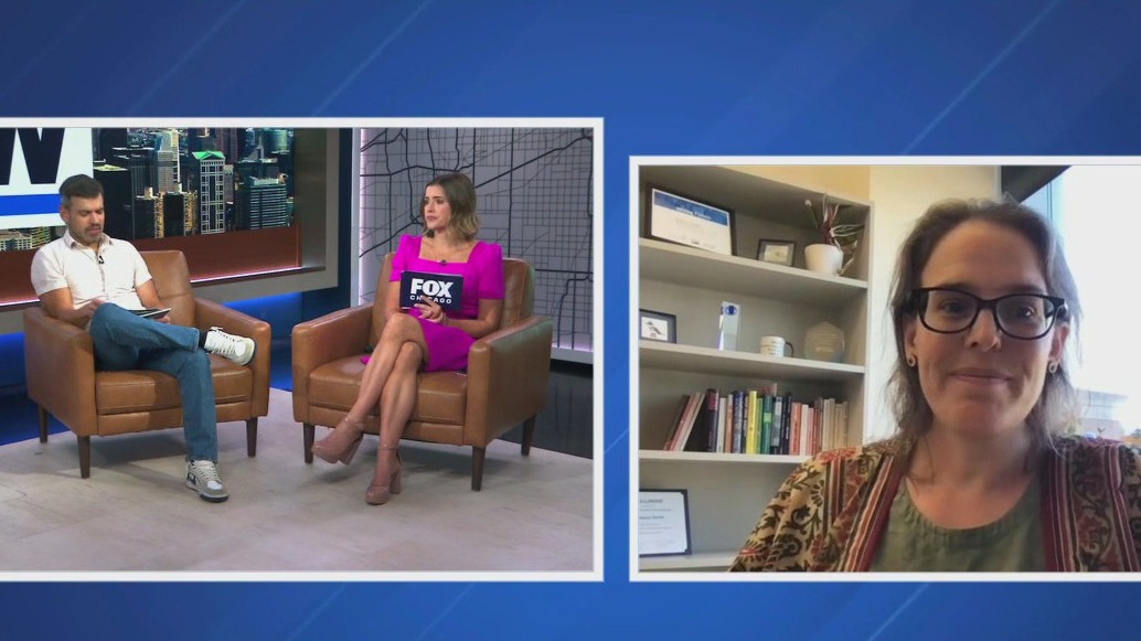 Ticks are spreading in Illinois faster than we realize | ChicagoNOW