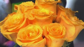 Love is in the air at Mariano's this Valentine's Day