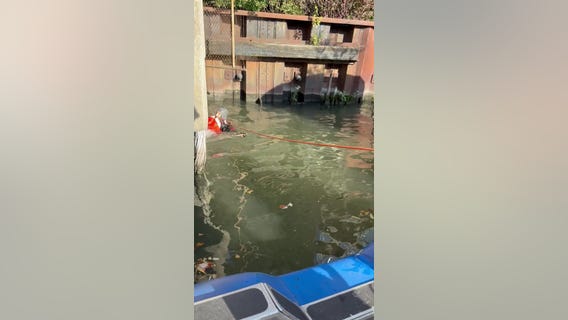 Chicago police rescue dog stranded in Chicago River drainpipe