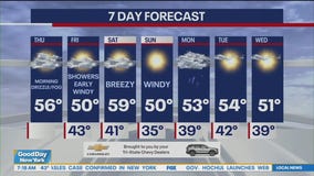 NYC weather forecast