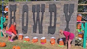 What does it take to carve a 1,000 pound pumkin? We find out |ChicagoNOW