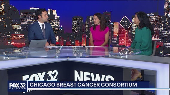 Top Chicago hospitals join forces in the Chicago Breast Cancer Consortium | The Chicago Report