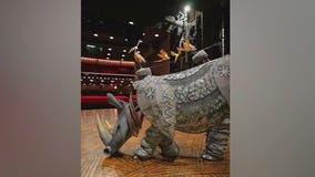 Disney?s The Lion King returns to Chicago?s Cadillac Palace Theatre