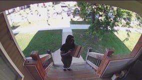 Illinois SAFE-T Act lets alleged repeat Chicago-area theft suspect walk after multiple arrests