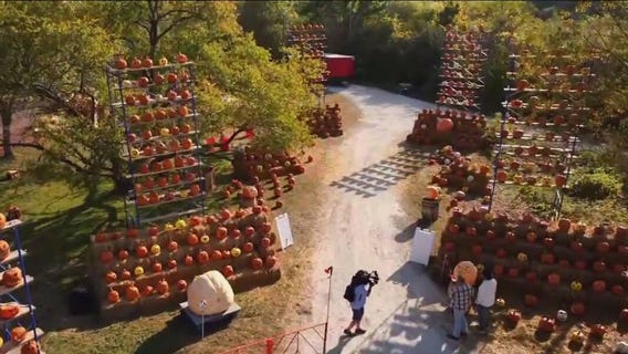 Carve out some time to visit Jack O'Lantern World