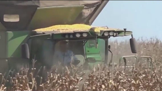 Trump mulls bailout for farmers after China tariffs