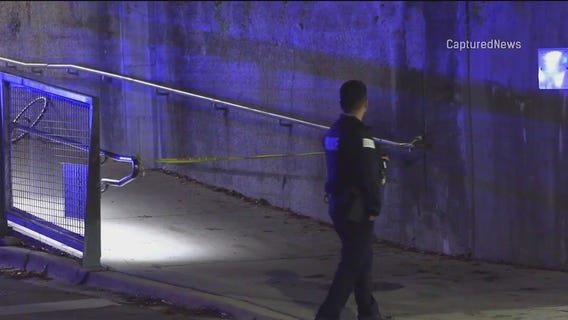 Man seriously wounded in Bucktown stabbing
