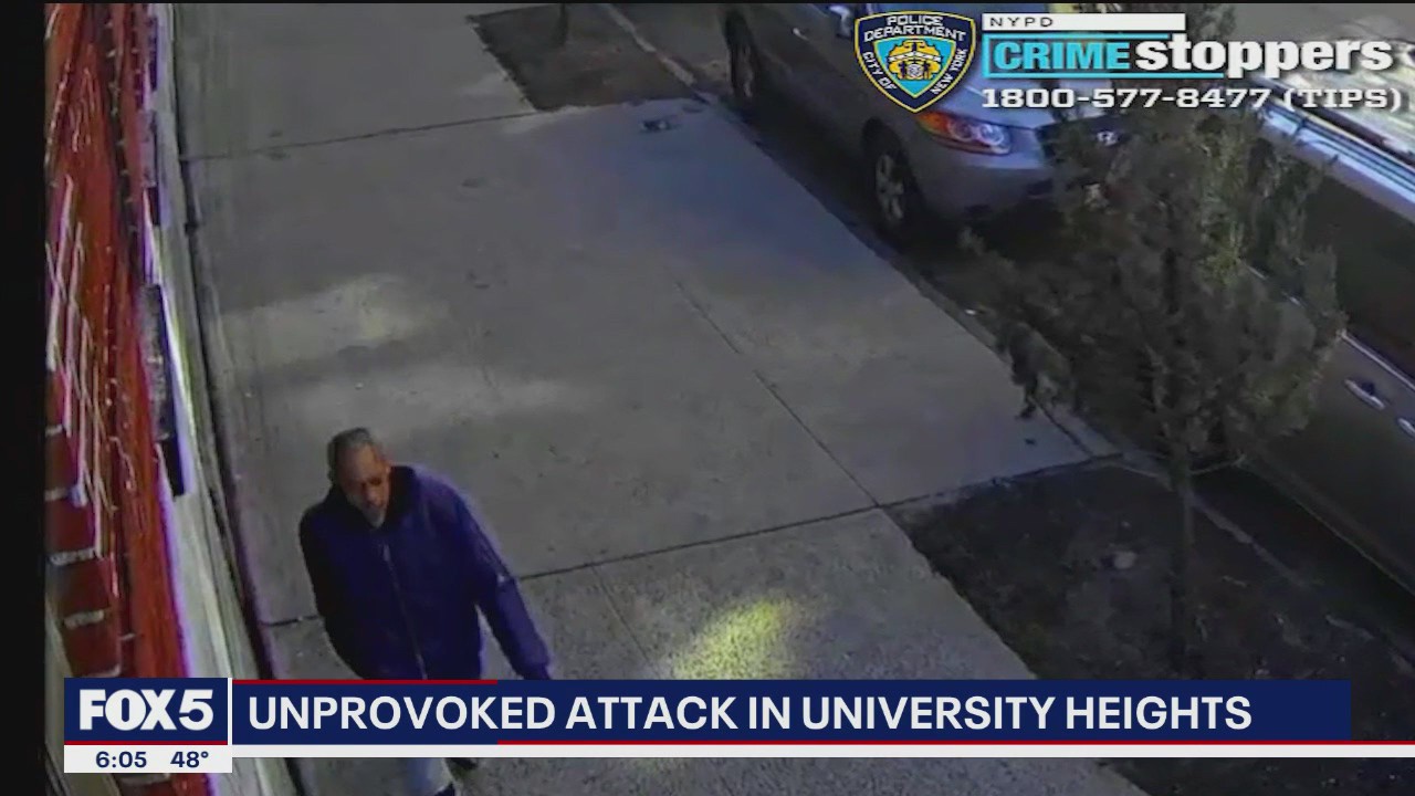 Woman, 63, punched in the face at random