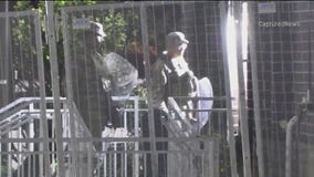 After Chicago judge's National Guard ruling, what will troops do in the meantime?
