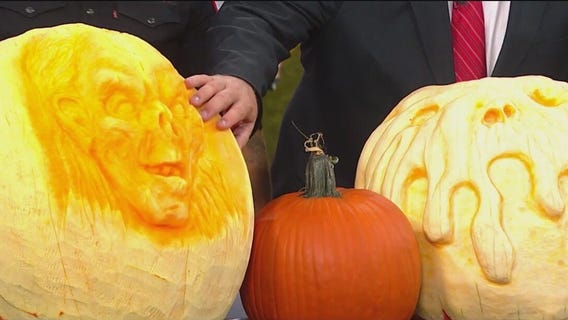 The Pumpkin Butcher shows off his amazing carving designs